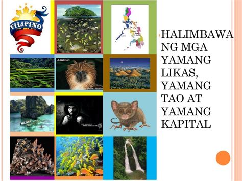 likas na yaman ng pangasinan